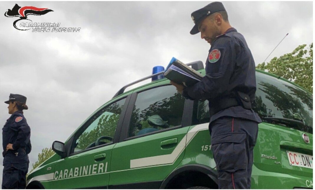 Irregolarità nella gestione delle acque reflue in un frantoio, scatta la sanzione