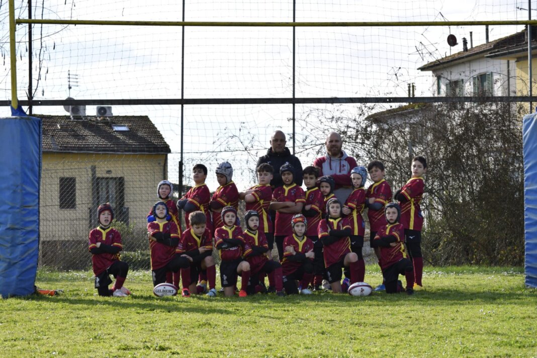 Lions Amaranto